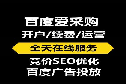 搜索引擎竞价推广实战：行业领先企业的成功秘诀